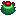 Cactus Fruit icon